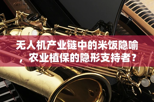 无人机产业链中的米饭隐喻，农业植保的隐形支持者？