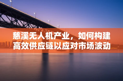 慈溪无人机产业，如何构建高效供应链以应对市场波动？