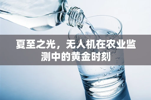 夏至之光，无人机在农业监测中的黄金时刻