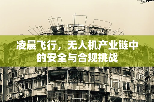 凌晨飞行，无人机产业链中的安全与合规挑战