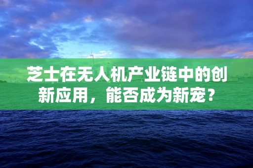 芝士在无人机产业链中的创新应用，能否成为新宠？