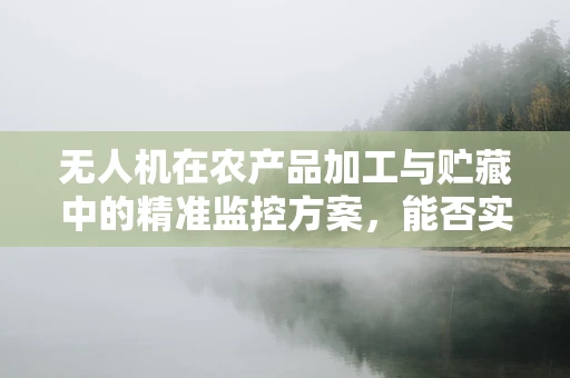 无人机在农产品加工与贮藏中的精准监控方案，能否实现高效节能？
