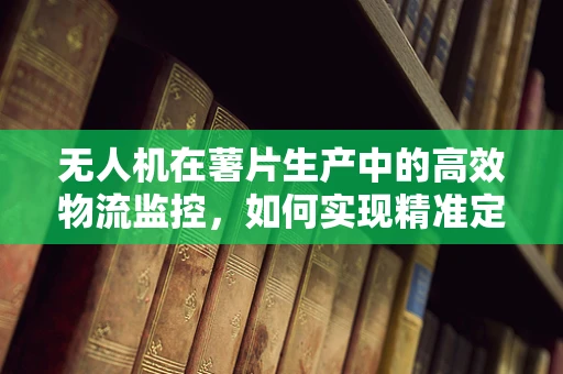 无人机在薯片生产中的高效物流监控，如何实现精准定位与避障？