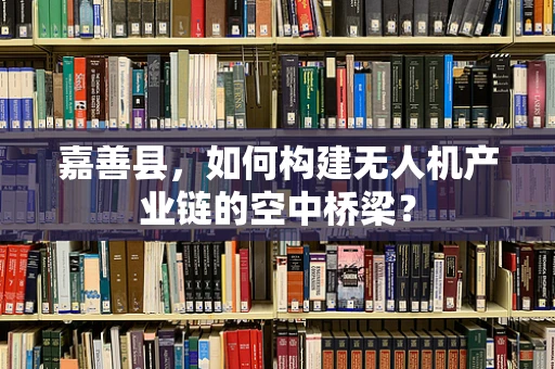 嘉善县，如何构建无人机产业链的空中桥梁？