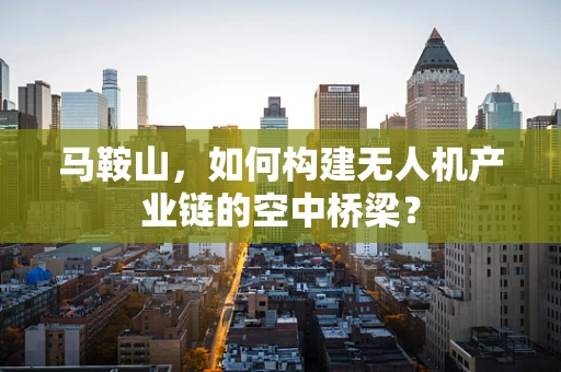 马鞍山，如何构建无人机产业链的空中桥梁？