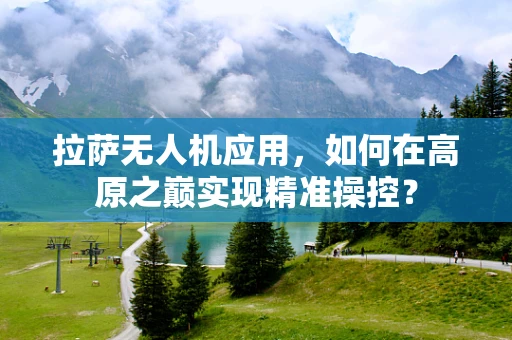 拉萨无人机应用，如何在高原之巅实现精准操控？