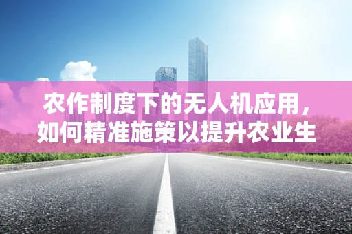 农作制度下的无人机应用，如何精准施策以提升农业生产效率？