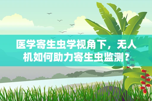 医学寄生虫学视角下，无人机如何助力寄生虫监测？