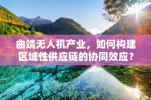 曲靖无人机产业，如何构建区域性供应链的协同效应？