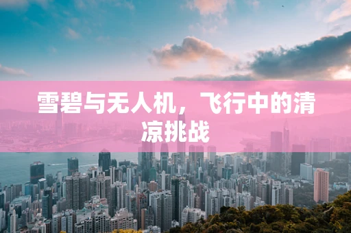 雪碧与无人机，飞行中的清凉挑战