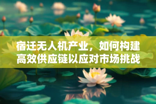 宿迁无人机产业，如何构建高效供应链以应对市场挑战？