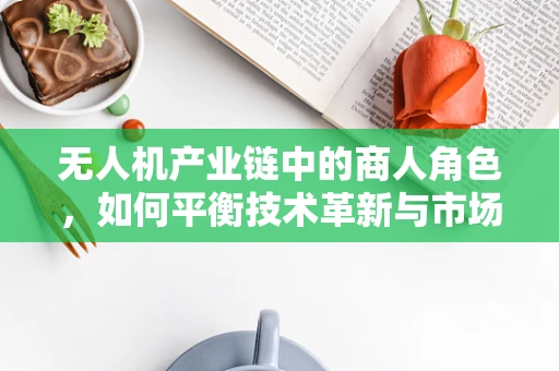 无人机产业链中的商人角色，如何平衡技术革新与市场需求的桥梁？