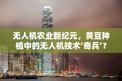 无人机农业新纪元，黄豆种植中的无人机技术‘奇兵’？