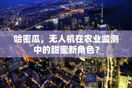 哈密瓜，无人机在农业监测中的甜蜜新角色？