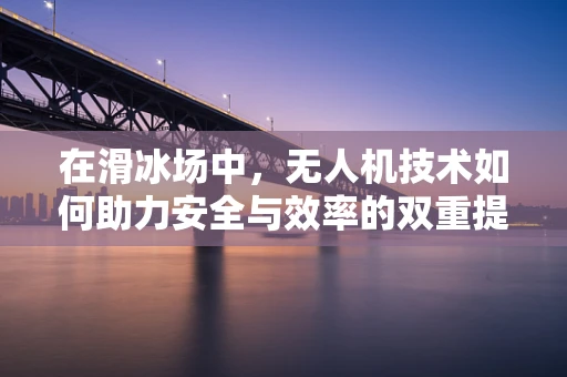 在滑冰场中，无人机技术如何助力安全与效率的双重提升？