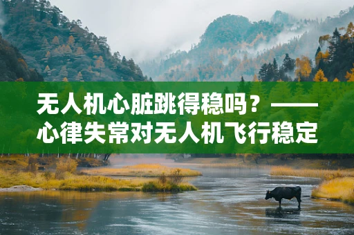 无人机心脏跳得稳吗？——心律失常对无人机飞行稳定性的影响