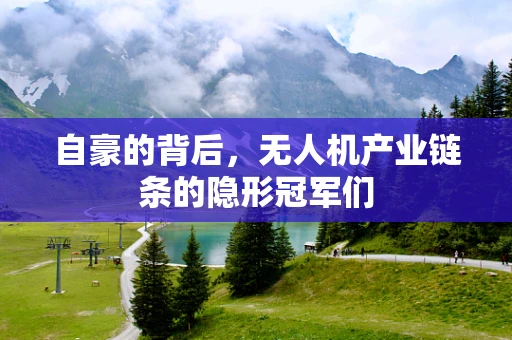 自豪的背后，无人机产业链条的隐形冠军们