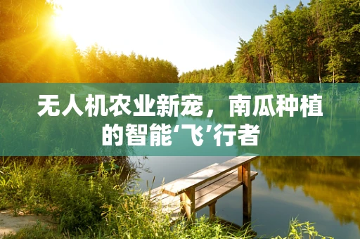 无人机农业新宠，南瓜种植的智能‘飞’行者