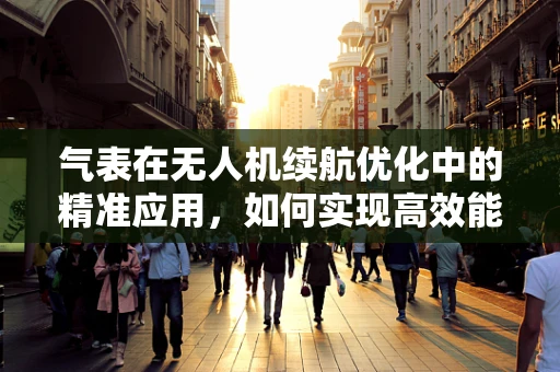 气表在无人机续航优化中的精准应用，如何实现高效能低耗能？