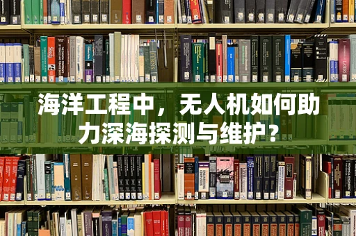 海洋工程中，无人机如何助力深海探测与维护？