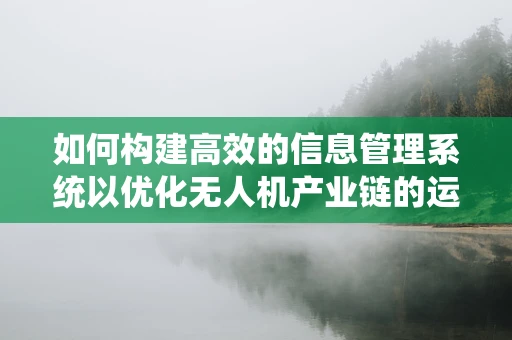 如何构建高效的信息管理系统以优化无人机产业链的运营？