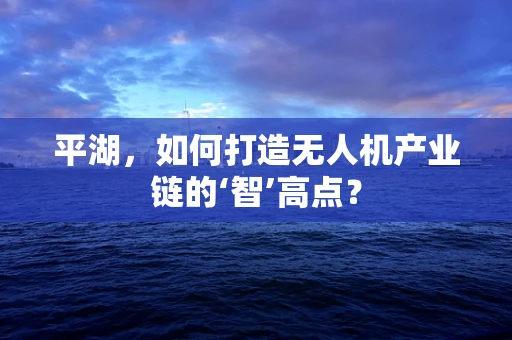 平湖，如何打造无人机产业链的‘智’高点？