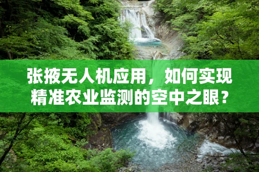 张掖无人机应用，如何实现精准农业监测的空中之眼？