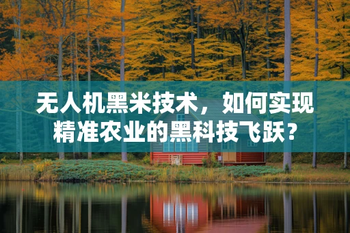 无人机黑米技术，如何实现精准农业的黑科技飞跃？