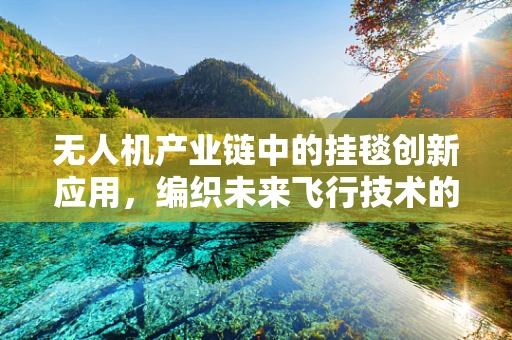 无人机产业链中的挂毯创新应用，编织未来飞行技术的秘密？
