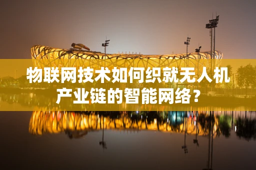 物联网技术如何织就无人机产业链的智能网络？