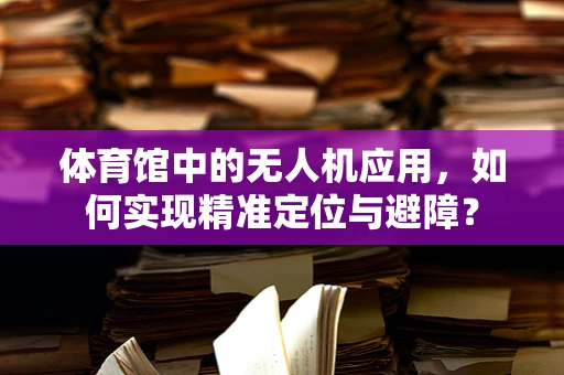 体育馆中的无人机应用，如何实现精准定位与避障？