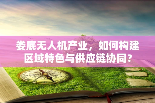 娄底无人机产业，如何构建区域特色与供应链协同？