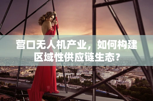 营口无人机产业，如何构建区域性供应链生态？