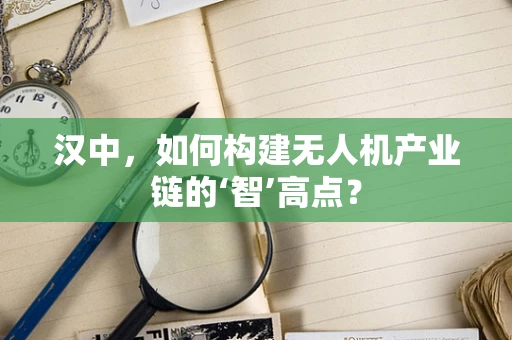汉中，如何构建无人机产业链的‘智’高点？