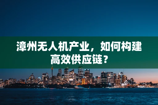 漳州无人机产业，如何构建高效供应链？