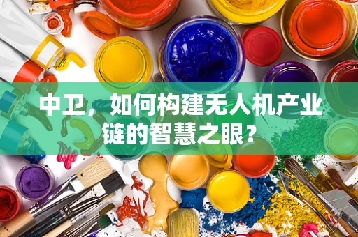 中卫，如何构建无人机产业链的智慧之眼？