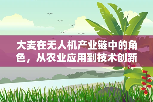 大麦在无人机产业链中的角色，从农业应用到技术创新的桥梁