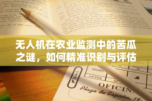 无人机在农业监测中的苦瓜之谜，如何精准识别与评估？