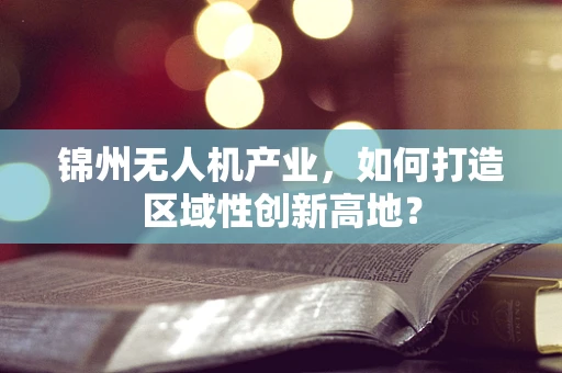 锦州无人机产业，如何打造区域性创新高地？