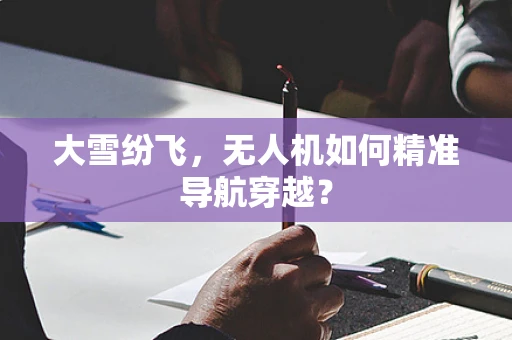 大雪纷飞，无人机如何精准导航穿越？
