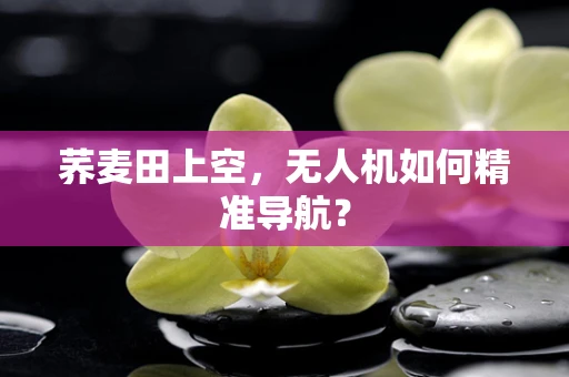荞麦田上空，无人机如何精准导航？