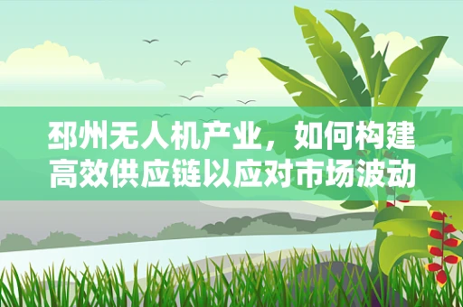 邳州无人机产业，如何构建高效供应链以应对市场波动？