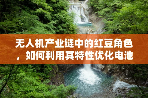 无人机产业链中的红豆角色，如何利用其特性优化电池管理？