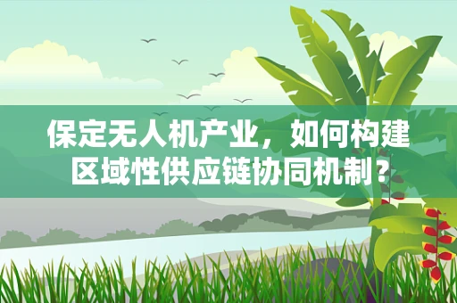 保定无人机产业，如何构建区域性供应链协同机制？