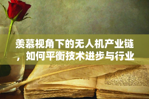 羡慕视角下的无人机产业链，如何平衡技术进步与行业公平？