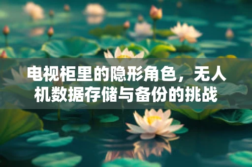 电视柜里的隐形角色，无人机数据存储与备份的挑战