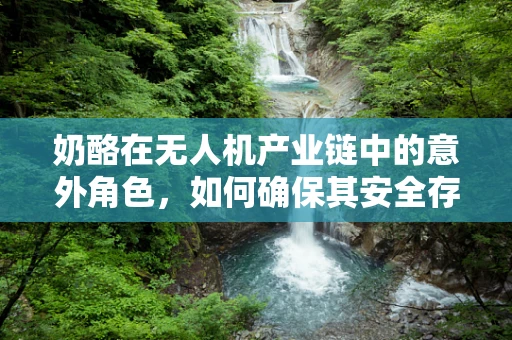 奶酪在无人机产业链中的意外角色，如何确保其安全存储与运输？
