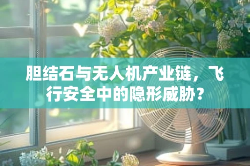 胆结石与无人机产业链，飞行安全中的隐形威胁？
