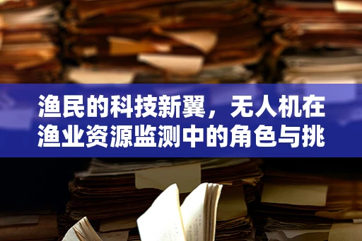 渔民的科技新翼，无人机在渔业资源监测中的角色与挑战