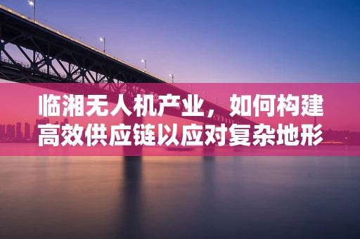 临湘无人机产业，如何构建高效供应链以应对复杂地形挑战？